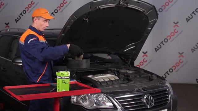 Jak vyměnit palivový filtr na VW PASSAT VARIANT B6 3C [NÁVOD AUTODOC] смотреть онлайн