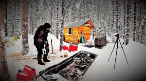 “ТАЙГА” -31 УСТАНОВИЛ ЛОВУШКИ НА ВОЛКОВ! ЕДУ ЗА СХРОНОМ! ДВИГАТЕЛЬ, ТРАКИ, ОТ ТРАКТОРА ТДТ 55.