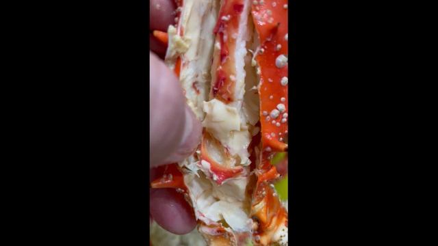 Два маленьких королевских краба. Сахалин, ноябрь 2022 года смотреть онлайн