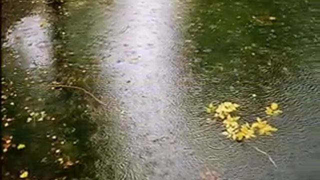 Дождливая осень. Дождь на реке. Русский язык 5 класс упражнение 75. Антоним к слову мелкий. Дождь анимация.