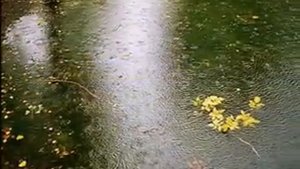 Ольга Красько Дождик осенний поплачь обо мне...