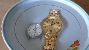 Наручные часы Omax и Perfect в воде