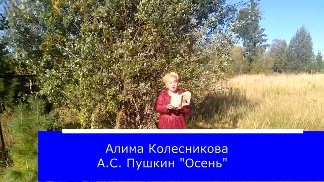 "Культурная суббота" смотреть онлайн