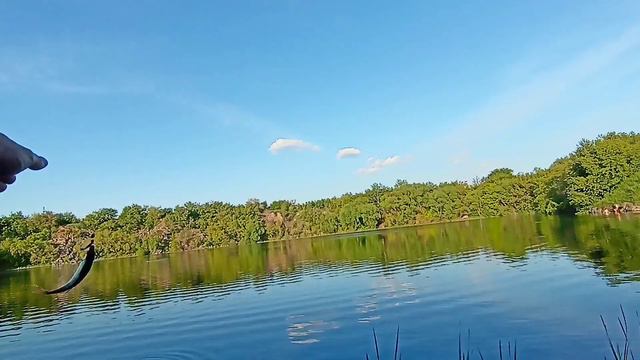 Поменял приманку И ... (пробный видеоотчёт) смотреть онлайн