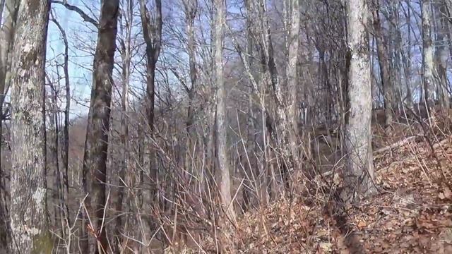 _07_03_2017_ПРОГУЛКА НА ГОРУ КУМА_ПЛАСТУНКА_СОЧИ.mp4 смотреть онлайн