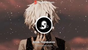 Влад Порфиров - Одинокий волк