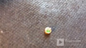 Замена микрофона в камере Eken H9R .