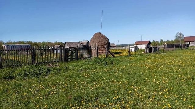 Деревня??