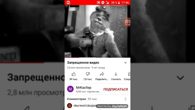 оценка запрещенного видео про Микки Мауса смотреть онлайн