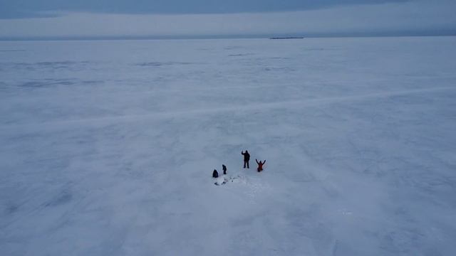 26.02.2022_Прогулка по экотропе Западный Котлин