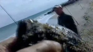 Камбала Рыбалка  Черное море