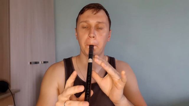 Обзор на Тин Вистл в До из Карбона/Tin Whistle C Key(Carbon)#7 смотреть онлайн