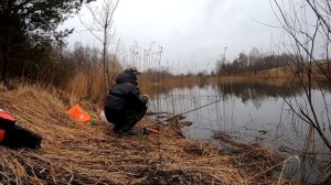 ЖИРНАЯ ПЛОТВА НА УДОЧКУ!!!РЫБАЛКА НА ПОПЛАВОК ВЕСНОЙ 2023.