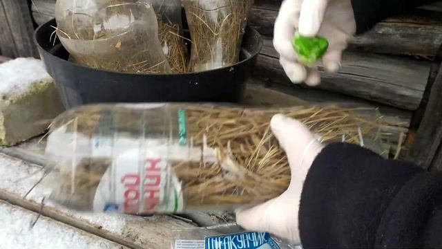 Как избавиться от мышей на участке. Именно так мы решили эту проблему. смотреть онлайн