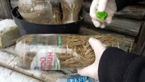 Как избавиться от мышей на участке. Именно так мы решили эту проблему.