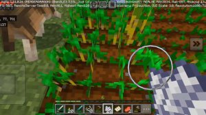 играю с другом в Майнкрафт