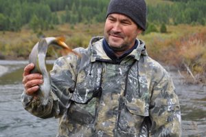 Чумовая рыбалка на горной реке .Хариус на килограмм.