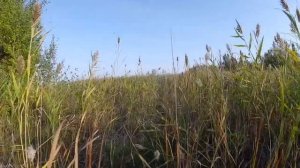 Прогулка к пересохшему роднику в Азовском немецком национальном районе Омской области