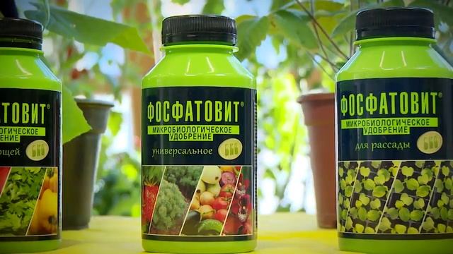 fazenda.shop Азотовит фосфатовит смотреть онлайн