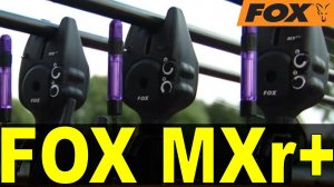 Электронные сигнализаторы FOX MXr+ видео обзор