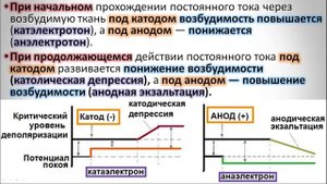 1.3 Законы раздражения возбудимых тканей