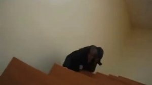 Студент отжигает, но это M8L8TH