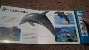 Книга "Животные океана" Азбукварик.