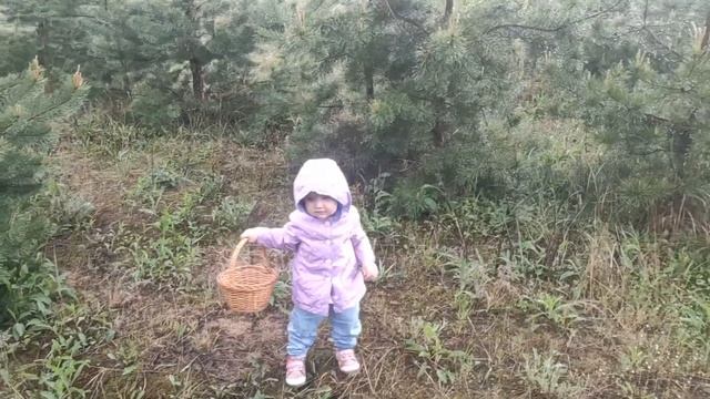 Мои первые майские грибы))) смотреть онлайн