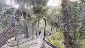 Эль-Фуджайра - куда сходить, где покушать, какие цены? | водопады, горы, пляжи и невероятная рыба