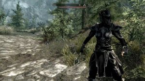 The Elder Scrolls V: Skyrim. Образцы крови для Септимия Сегония. Прохождение от SAFa