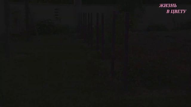 Поставили ЗАБОР!/Что сделать чтобы не гнили деревянные столбы в земле #3 смотреть онлайн