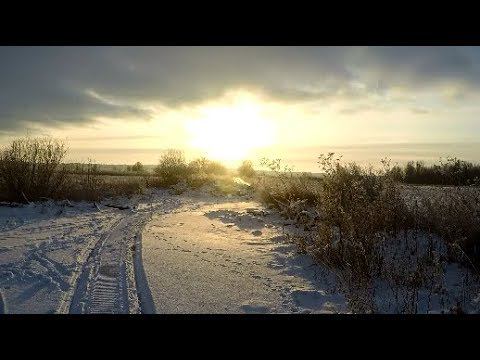 В поиске лисицы.  По разведанным местам.  Выбор лучшего места для ночной засидки.