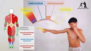 Что из себя представляет и как работает тренажёр Evnik.