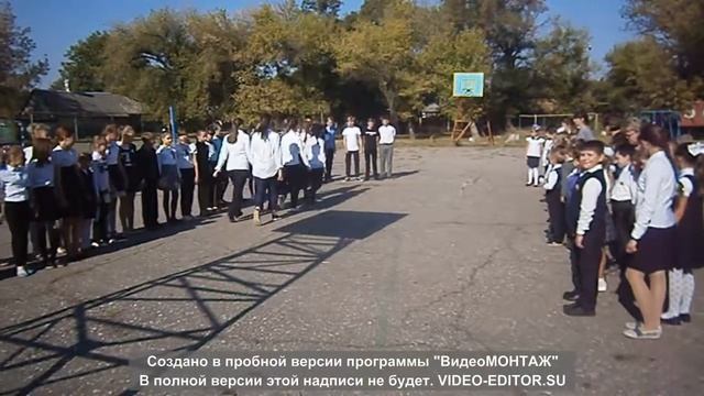 флешмоб День мира смотреть онлайн