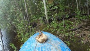 День на таежной реке Аган ХМАО на фидер и спининг.