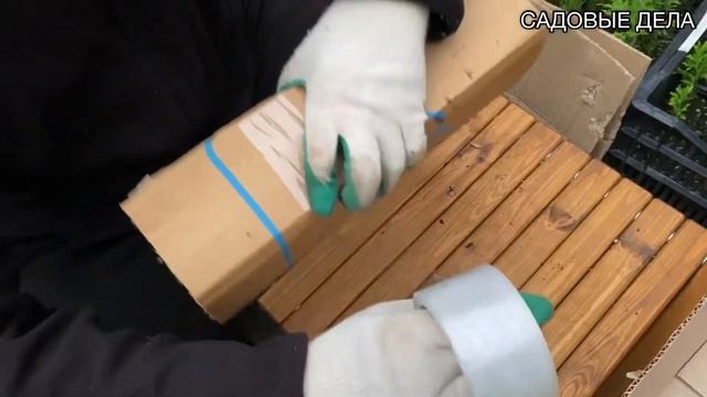 ОТПРАВЛЯЮ ТУИ ПОЧТОЙ! УПАКОВКА САЖЕНЦЕВ | САДОВЫЕ ДЕЛА #туипочтой #упаковкасаженцев #саженцы