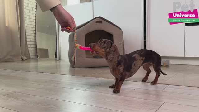 PU3006BE Игрушка для собак Pet Universe Мини косточка с канатиком, размер 18*4.3 см смотреть онлайн