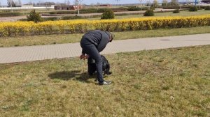 Тренинг молодых собак питомника Вон Хаус Бусидо