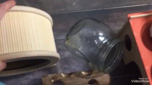 Контейнер 70 литров для содержания хомяка, да или нет?