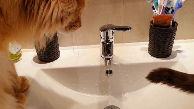 В час ночи от моего крика разбудила соседей 🤦♀️как мне больно было смотреть онлайн