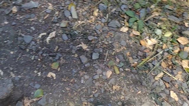 Старая лестница