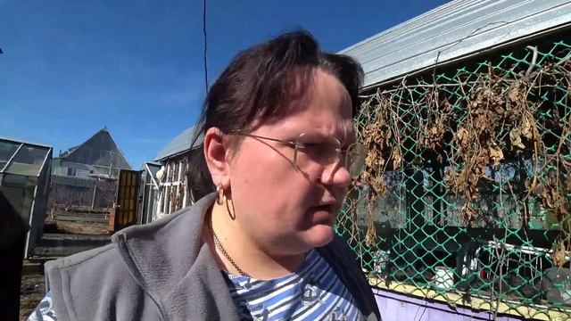 Каникулы закончились. Жара в теплице. Двойной пол. Нежирный плов. Дверь в коровник готова. смотреть онлайн