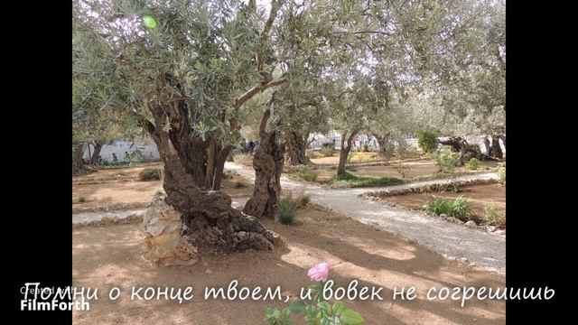 Христианство, православие Игнатий Брянчанинов о душе 1часть смотреть онлайн