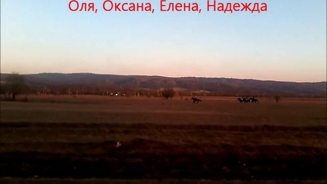 Скачки станица Зеленчукская Кавказ