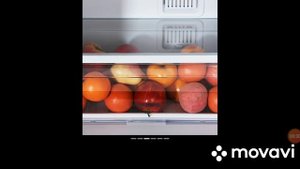 Холодильник Hotpoint-Ariston HF 4200 W