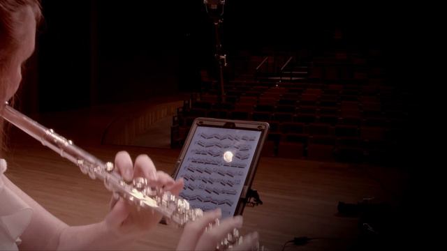 Johannes Donjon, Etude No.1 in E minor, Elegie смотреть онлайн