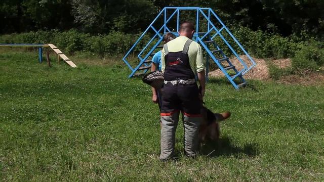 Питомник немецких овчарок С ГОЛУБОЙ ЗВЕЗДЫ