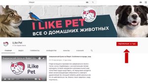 4 вопроса про лай собаки во сне