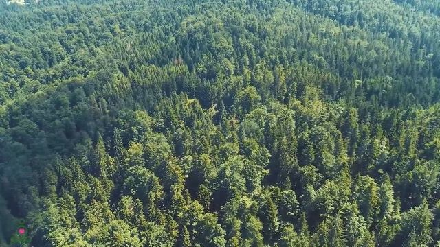 Музыка лечит сердце и сосуды🌿 Успокаивающая музыка восстанавливает нервную систему,расслабляющая #3