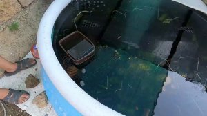 Простейший фильтр для мини УЗВ